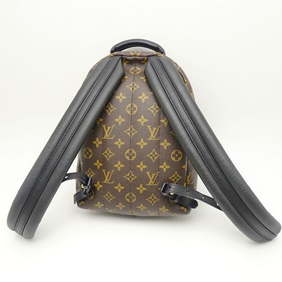 Louis Vuitton Monogram Palm Springs Backpack PM Brown Rucksack - Picture 2 of 8